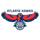 Atlanta Hawks