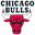Chicago Bulls