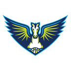 Dallas Wings