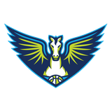 Dallas Wings