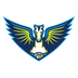 Dallas Wings