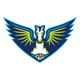 Dallas Wings
