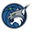 Minnesota Lynx
