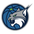 Minnesota Lynx