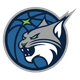Minnesota Lynx