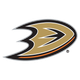 Anaheim Ducks